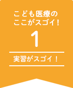 実習