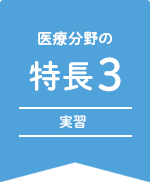 実習