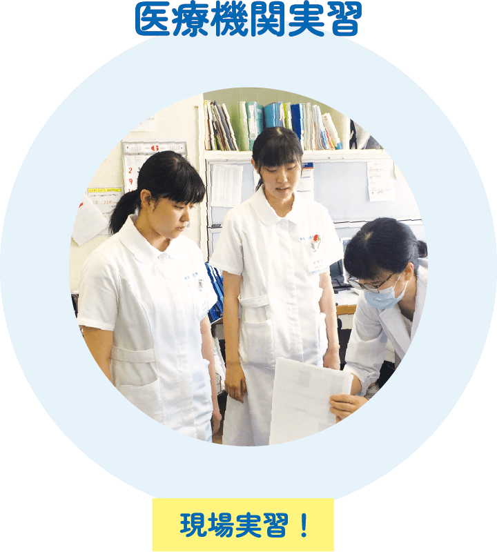 医療機関実習