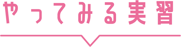 やってみる実習